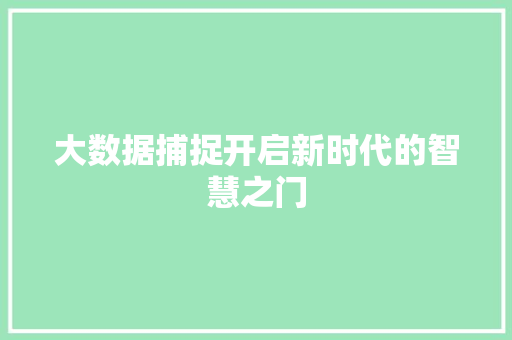 大数据捕捉开启新时代的智慧之门