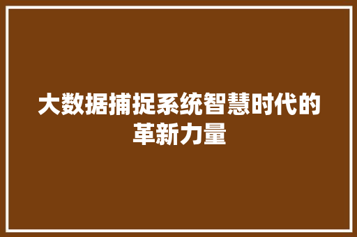 大数据捕捉系统智慧时代的革新力量 WordPress教程