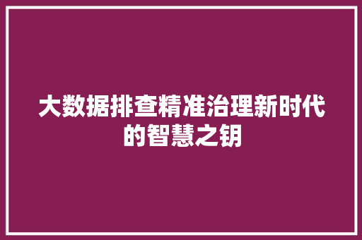 大数据排查精准治理新时代的智慧之钥
