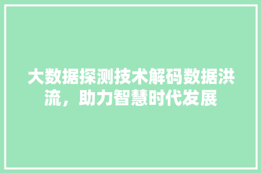 大数据探测技术解码数据洪流，助力智慧时代发展 建站教程