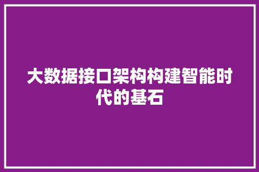 大数据接口架构构建智能时代的基石 SEO教程