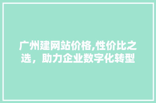 广州建网站价格,性价比之选，助力企业数字化转型