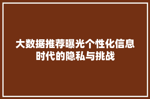 大数据推荐曝光个性化信息时代的隐私与挑战