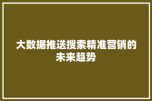 大数据推送搜索精准营销的未来趋势