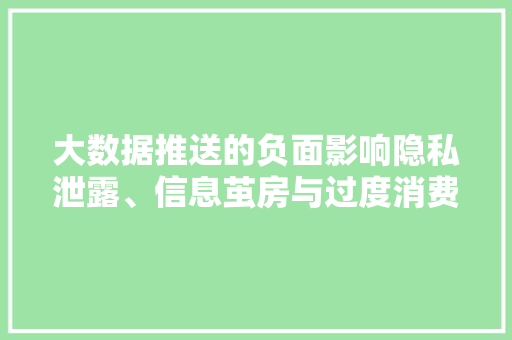 大数据推送的负面影响隐私泄露、信息茧房与过度消费 建站教程