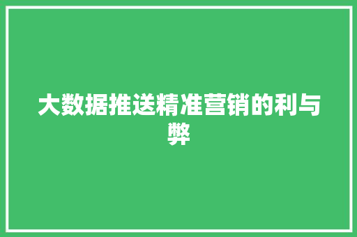 大数据推送精准营销的利与弊 建站教程