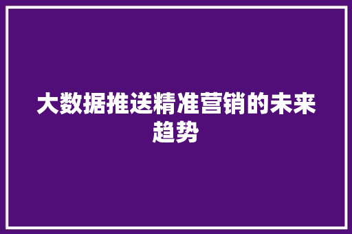 大数据推送精准营销的未来趋势 建站教程