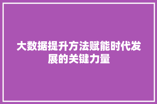 大数据提升方法赋能时代发展的关键力量 建站教程