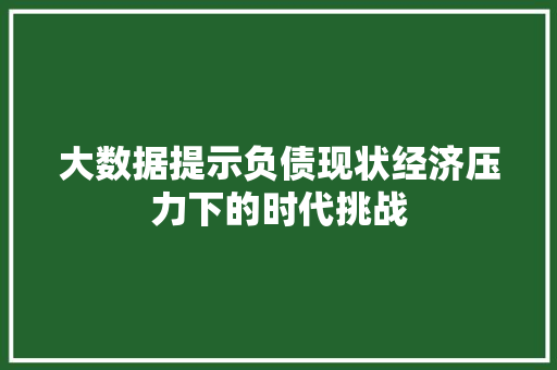 大数据提示负债现状经济压力下的时代挑战