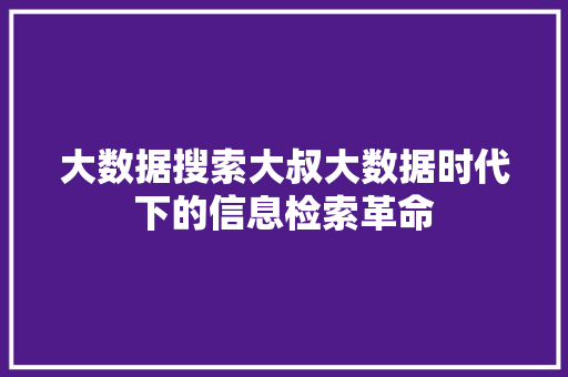 大数据搜索大叔大数据时代下的信息检索革命