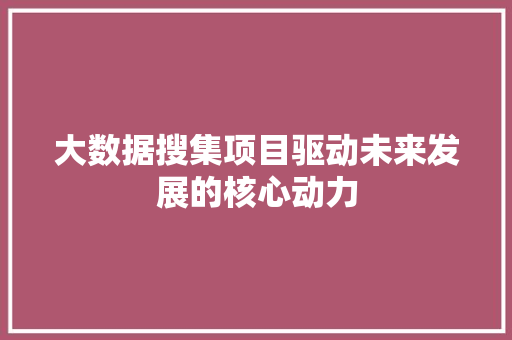 大数据搜集项目驱动未来发展的核心动力