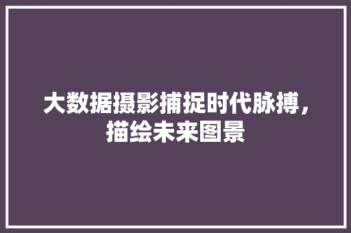 大数据摄影捕捉时代脉搏，描绘未来图景