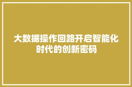 大数据操作回路开启智能化时代的创新密码