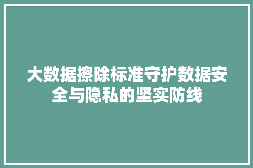 大数据擦除标准守护数据安全与隐私的坚实防线 建站教程