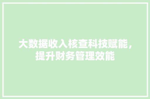 大数据收入核查科技赋能，提升财务管理效能