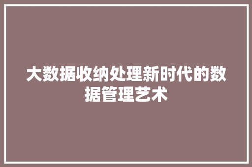 大数据收纳处理新时代的数据管理艺术