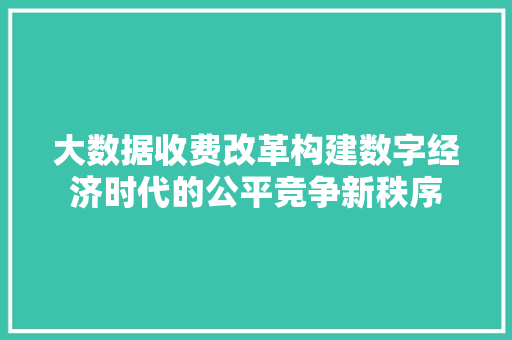 大数据收费改革构建数字经济时代的公平竞争新秩序