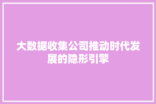 大数据收集公司推动时代发展的隐形引擎