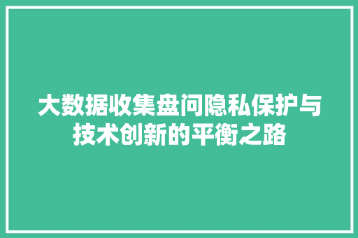 大数据收集盘问隐私保护与技术创新的平衡之路