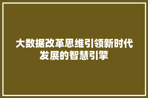 大数据改革思维引领新时代发展的智慧引擎