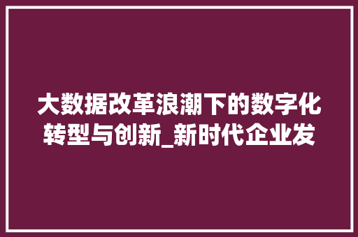 大数据改革浪潮下的数字化转型与创新_新时代企业发展的必由之路 SEO教程