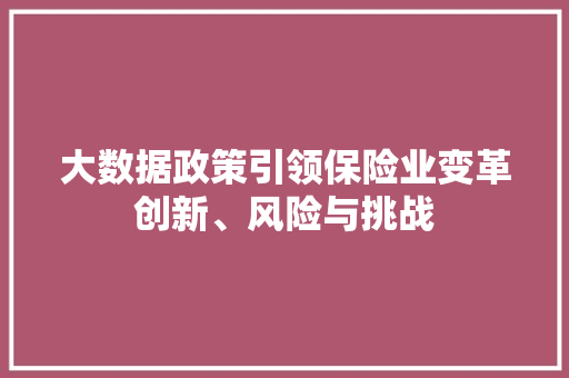 大数据政策引领保险业变革创新、风险与挑战