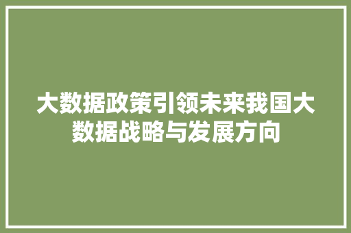 大数据政策引领未来我国大数据战略与发展方向 友链在线