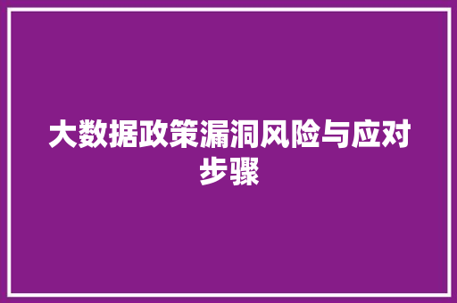 大数据政策漏洞风险与应对步骤 建站教程
