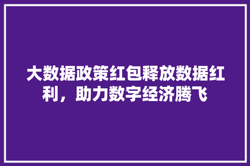大数据政策红包释放数据红利，助力数字经济腾飞