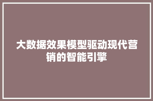 大数据效果模型驱动现代营销的智能引擎 建站教程