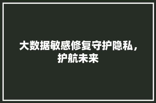 大数据敏感修复守护隐私，护航未来