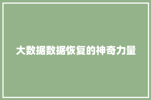 大数据数据恢复的神奇力量 WordPress教程