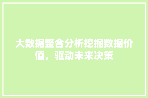 大数据整合分析挖掘数据价值，驱动未来决策