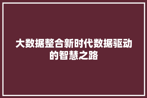 大数据整合新时代数据驱动的智慧之路