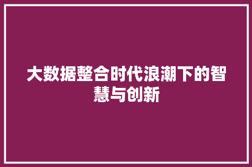 大数据整合时代浪潮下的智慧与创新