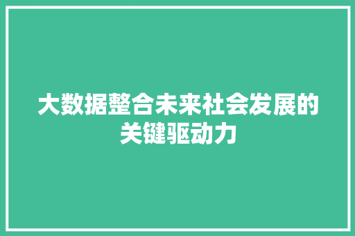 大数据整合未来社会发展的关键驱动力