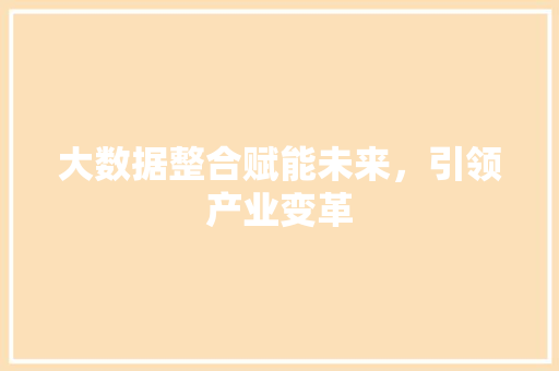 大数据整合赋能未来，引领产业变革