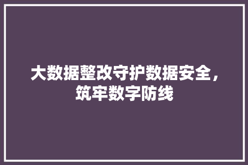 大数据整改守护数据安全，筑牢数字防线