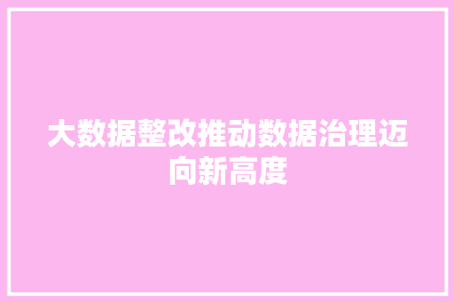 大数据整改推动数据治理迈向新高度