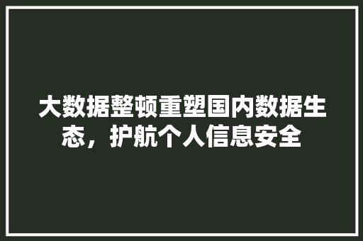 大数据整顿重塑国内数据生态，护航个人信息安全