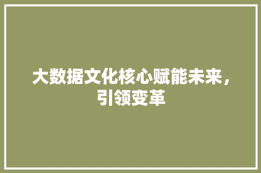 大数据文化核心赋能未来，引领变革