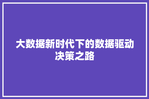 大数据新时代下的数据驱动决策之路