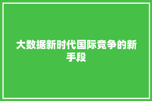 大数据新时代国际竞争的新手段 服务器/数据库