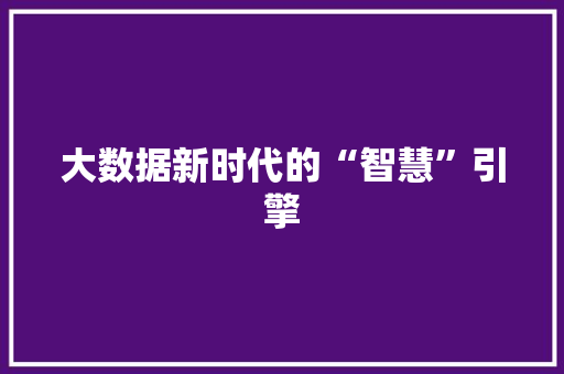 大数据新时代的“智慧”引擎