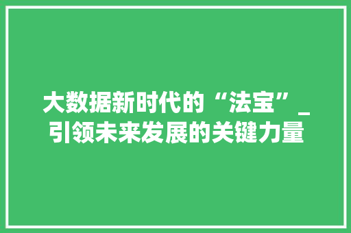 大数据新时代的“法宝”_引领未来发展的关键力量 WordPress教程