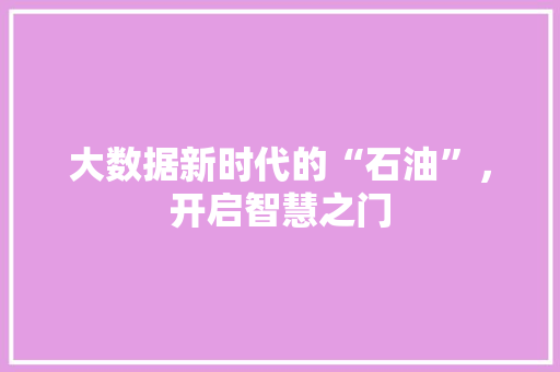 大数据新时代的“石油”，开启智慧之门