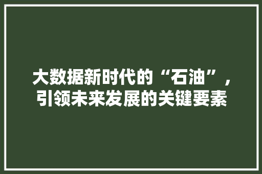 大数据新时代的“石油”，引领未来发展的关键要素 WordPress教程