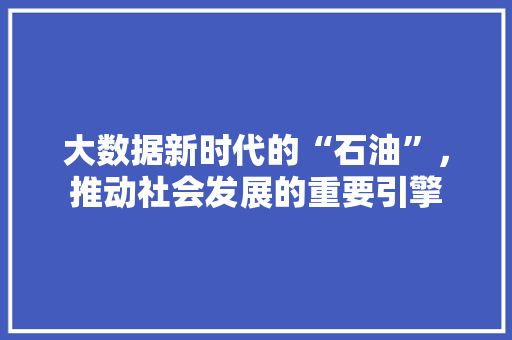 大数据新时代的“石油”，推动社会发展的重要引擎 WordPress教程