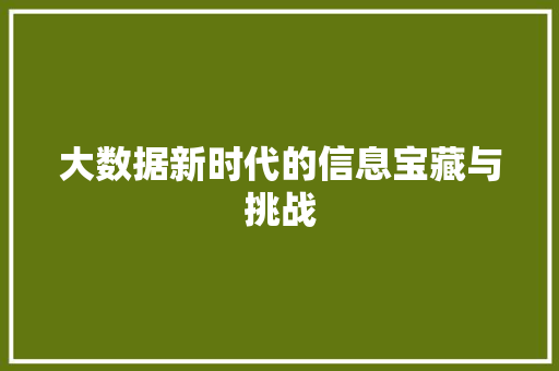 大数据新时代的信息宝藏与挑战 服务器/数据库