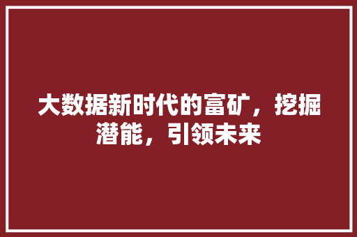大数据新时代的富矿，挖掘潜能，引领未来